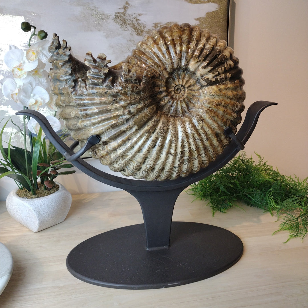 Tractor Ammonite 20