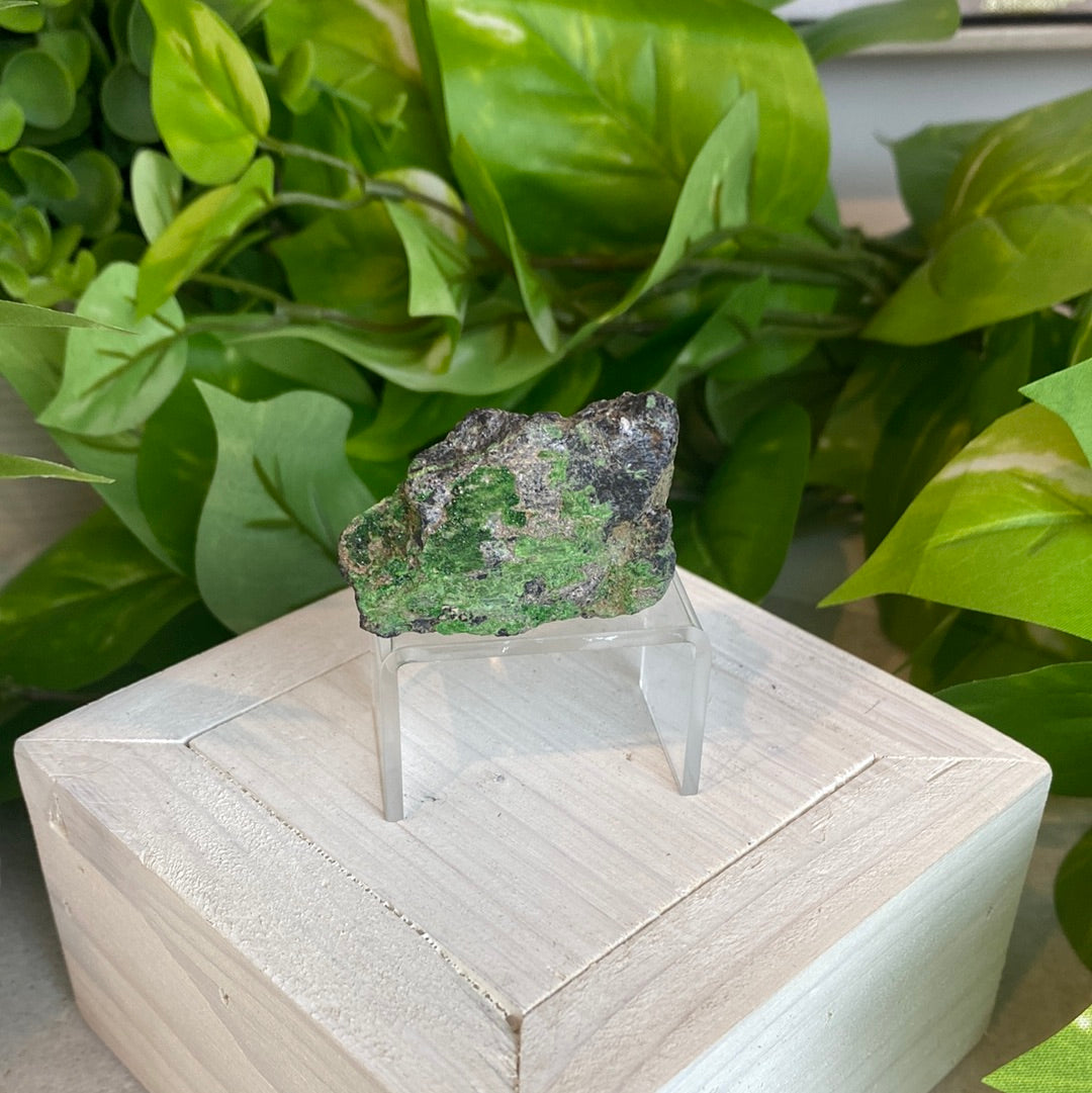 Uvarovite Green Garnet 1.5” x 1”