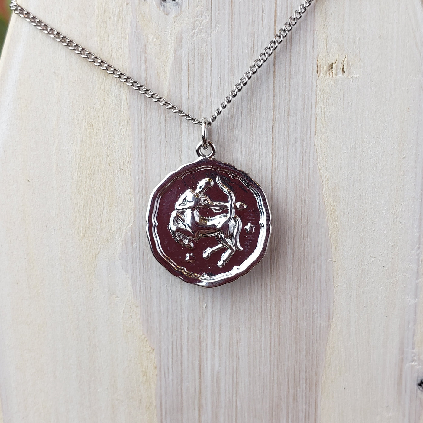 Zodiac Sign Single Layer Medallion Necklace-Silver or Gold